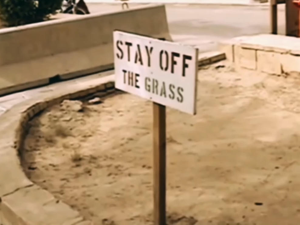 Stay off the grass, lucky man.