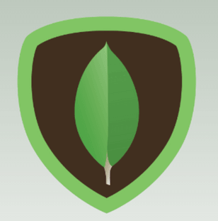 /ivanch/litmus-hub/raw/commit/fa7dc162a74fa9df57567701578d2c322ffc9970/experiments/mongodb/icons/mongodb.png